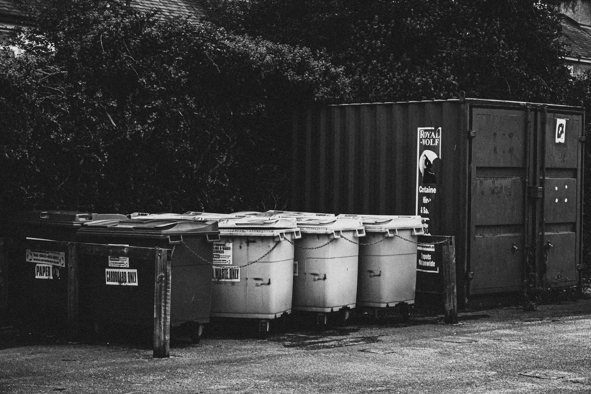 Wheeled waste bins beside a shipping container